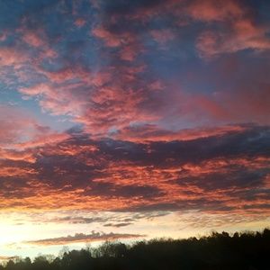 Meet your Posher, Molly